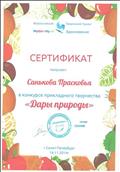 Сертификат Всероссийского  конкурса прикладного творчества "Дары природы"